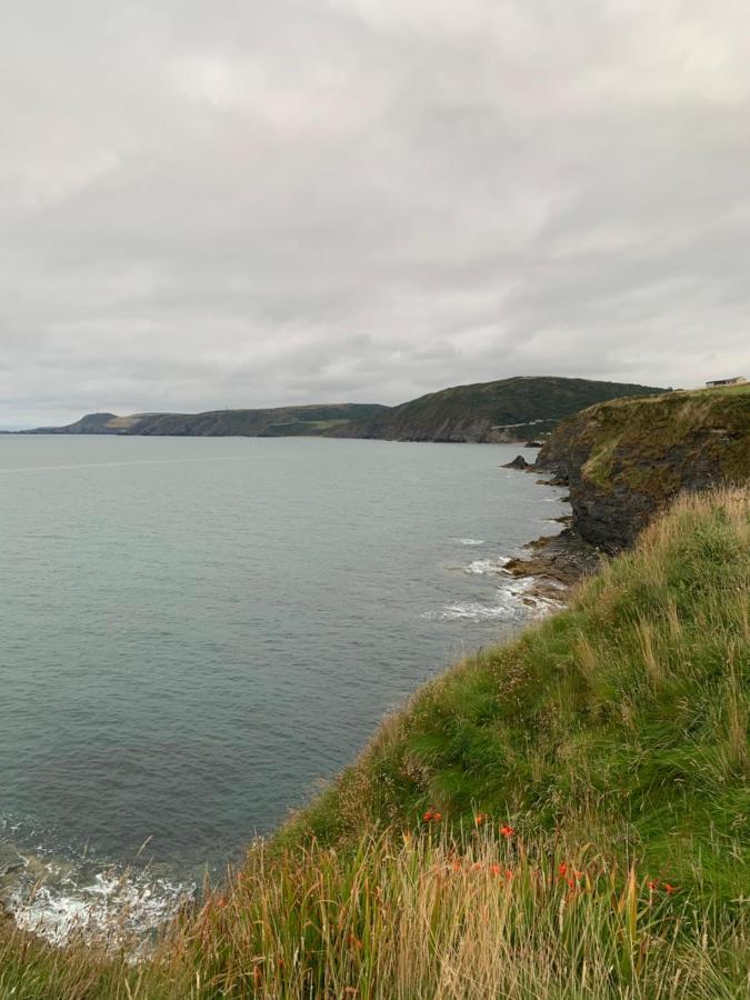 Wild Coastal Retreat At Troed Y Rhiw Aberporth, West Wales Villa ภายนอก รูปภาพ