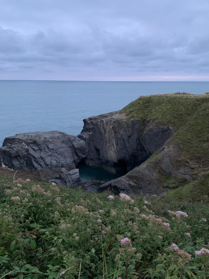 Wild Coastal Retreat At Troed Y Rhiw Aberporth, West Wales Villa ภายนอก รูปภาพ