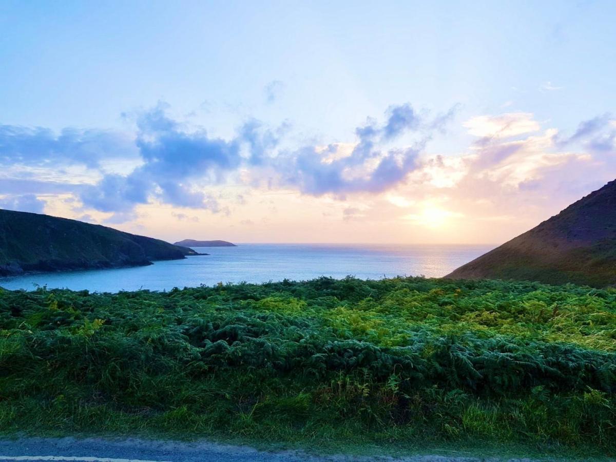 Wild Coastal Retreat At Troed Y Rhiw Aberporth, West Wales Villa ภายนอก รูปภาพ